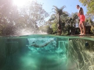 Samurai Beach Bungalows - Port Stephens YHA Hostel, Anna Bay - 3