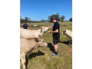 Sandalwood Downs Farm Stay Guest House TOODYAY Bed and breakfast, Western Australia - 3