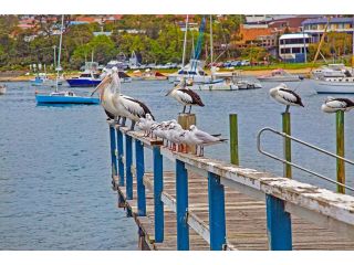 Sandpiper Motel Ulladulla Hotel, Ulladulla - 1