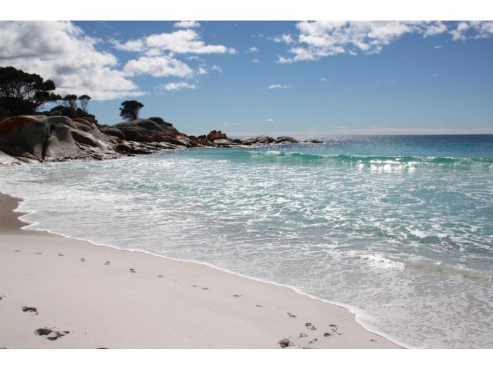 SEA EAGLE COTTAGE Amazing views of Bay of Fires Guest house, Binalong Bay - imaginea 16