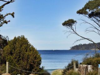 Sea Eagle at Roaring Beach Guest house, Tasmania - 2