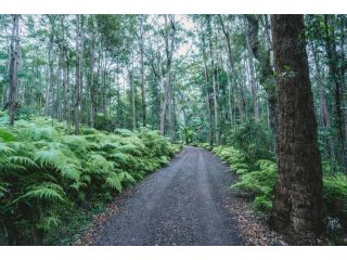Secluded Retreat in Noosa Hinterland Guest house, Eumundi - 4