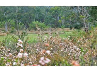 Maya Sanctuary Hotel, New South Wales - 1