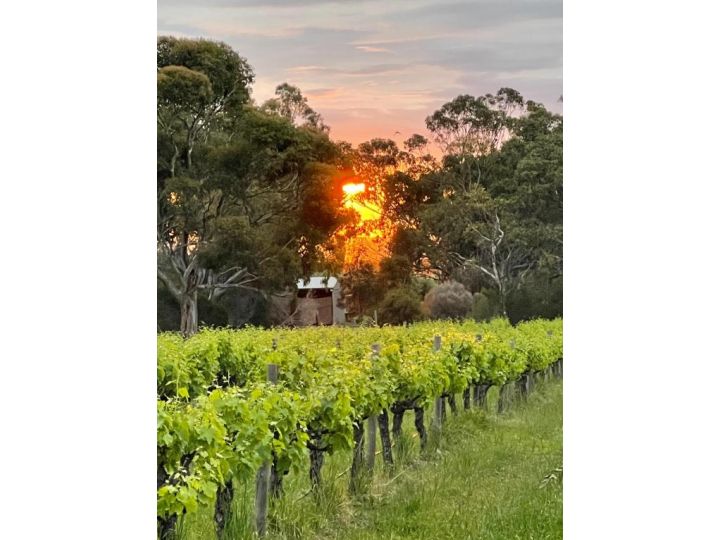 Sellicks Chills Vineyard Retreats Guest house, South Australia - imaginea 4