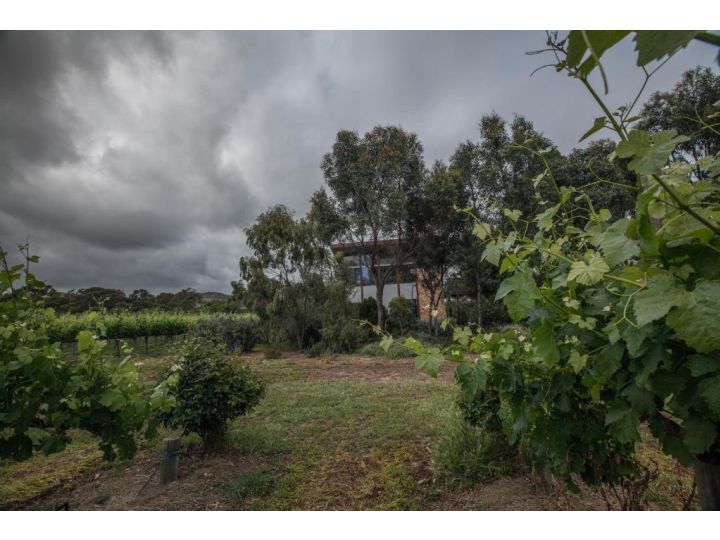 Sellicks Chills Vineyard Retreats Guest house, South Australia - imaginea 6
