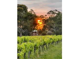 Sellicks Chills Vineyard Retreats Guest house, South Australia - 4