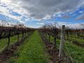 Sellicks Chills Vineyard Retreats Guest house, South Australia - thumb 15