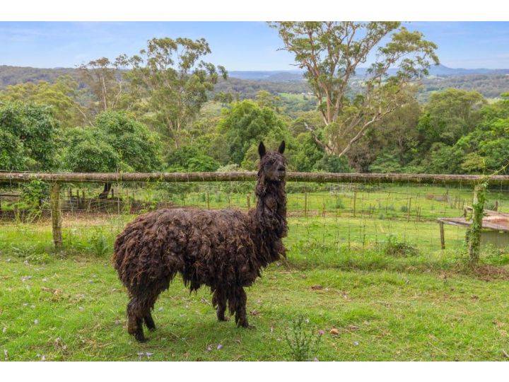 Serendipity Farm Guest house, Mapleton - imaginea 10