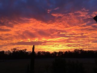 Serenity on Stanthorpe Guest house, Queensland - 3