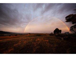 Shaws Road Winery B&B Guest house, Victoria - 4