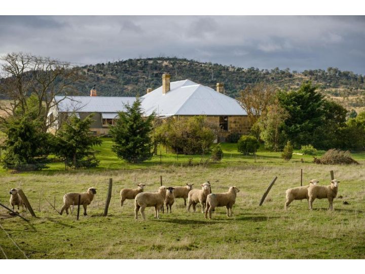 Shearers&#x27; Quarters Rathmore Farm stay, Tasmania - imaginea 6