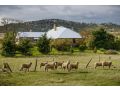 Shearers&#x27; Quarters Rathmore Farm stay, Tasmania - thumb 6