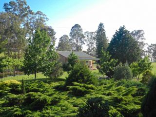 Six Oaks Cottage Chalet, New South Wales - 2
