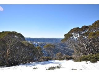 Snowtel 4 Guest house, Mount Hotham - 1