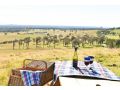 Somerton Barn: Alpacas, Cattle & Amazing Views Guest house, Joadja Creek - thumb 19