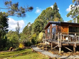 Southern Forest Accommodation Chalet, Southport - 2