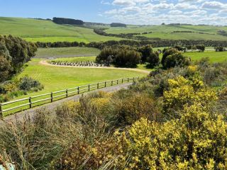 Spacious country coastal house Guest house, Port Campbell - 4
