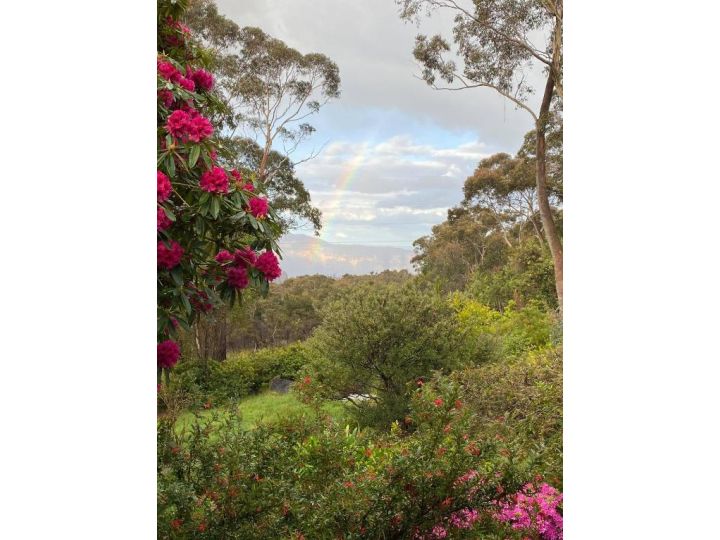 Spectacular mountain view with a private garden Guest house, Blackheath - imaginea 4
