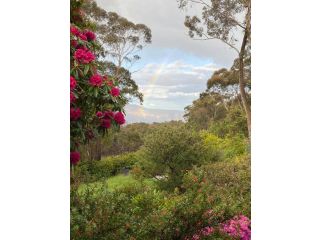 Spectacular mountain view with a private garden Guest house, Blackheath - 4
