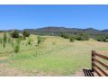 Spring Grove Dairy - Picturesque views! Guest house, Upper Kangaroo River - thumb 13