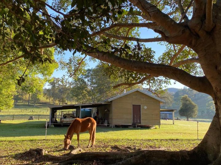 Stay at the Barn... Immerse yourself in nature. Guest house, Queensland - imaginea 1