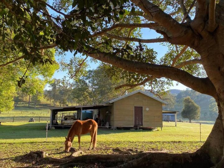 Stay at the Barn... Immerse yourself in nature. Guest house, Queensland - imaginea 2