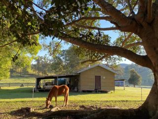 Stay at the Barn... Immerse yourself in nature. Guest house, Queensland - 1