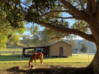 Stay at the Barn... Immerse yourself in nature. Guest house, Queensland - 2