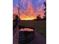 Stay at the Barn... Immerse yourself in nature. Guest house, Queensland - thumb 17