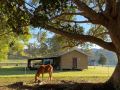Stay at the Barn... Immerse yourself in nature. Guest house, Queensland - thumb 1