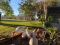 Stay at the Barn... Immerse yourself in nature. Guest house, Queensland - thumb 14