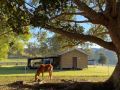 Stay at the Barn... Immerse yourself in nature. Guest house, Queensland - thumb 2