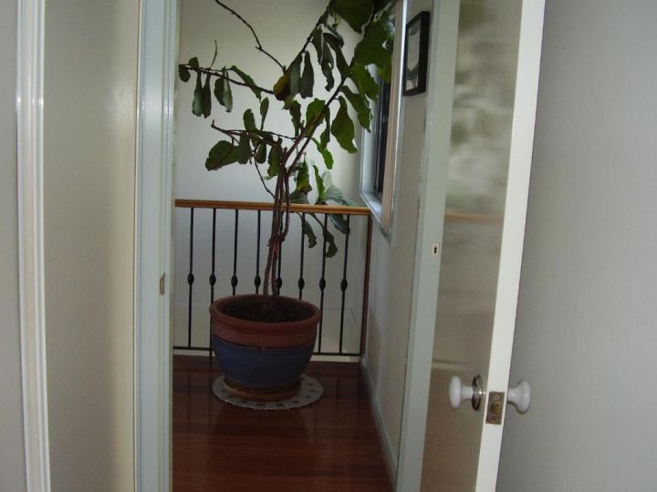 Strathmore Lodge Apartment, Port Macquarie - imaginea 13