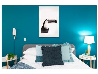 Striking and super convenient studio with balcony Apartment, Sydney - 5