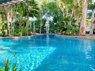 Palm Cove Beachside Apartments - Pool and Garden Views Apartment, Palm Cove - 2