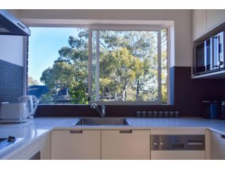 Sun-Drenched 1 Bed Studio Apt Newtown Parking Apartment, Sydney - 4