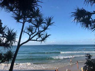 Orchard Cottage - modern Australian Sunshine Coast holiday cottage on organic farm nr beach Guest house, Queensland - 1