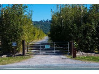 Orchard Cottage - modern Australian Sunshine Coast holiday cottage on organic farm nr beach Guest house, Queensland - 4