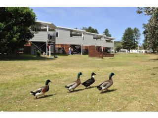 NRMA Sydney Lakeside Holiday Park Accomodation, New South Wales - 2