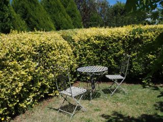 Tahara Cottage Guest house, Deloraine - 3