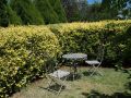 Tahara Cottage Guest house, Deloraine - thumb 3