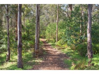 Tall Trees Margaret River Apartment, Margaret River Town - 5