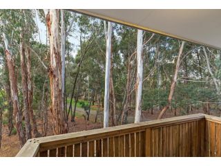 Tangles Guest house, Ballarat - 5