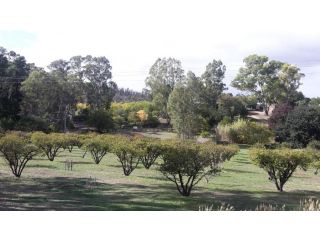 Taralee Orchards Farm stay, South Australia - 4