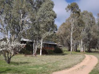Taralee Orchards Farm stay, South Australia - 1