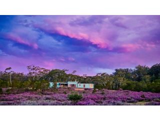 Tea Tree Hollow - 50 percent off third night on weekend Guest house, New South Wales - 3