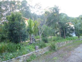 Teretre Cabins Nimbin Chalet, New South Wales - 5