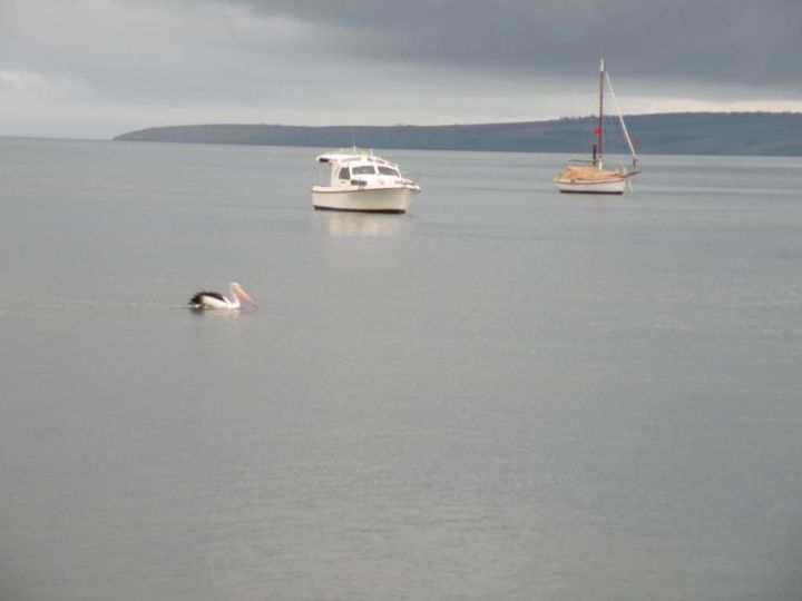 The Anchorage Cottage Kangaroo Island Guest house, American River - imaginea 15