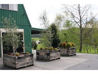 The Barn @ Charlottes Hill Guest house, Healesville - 5