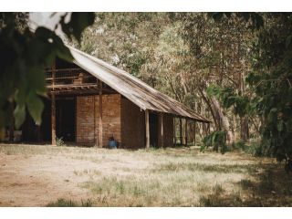 The Barn Of Arts PTY LTD Campsite, New South Wales - 2